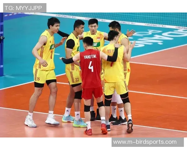 英超排球专题深度解析成都排球队的战术意识与团队协作