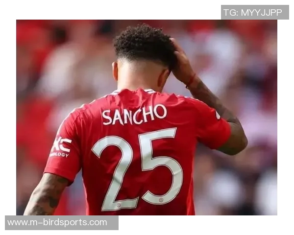 英超网球评论分析武汉网球队盯防策略的成功与不足之处