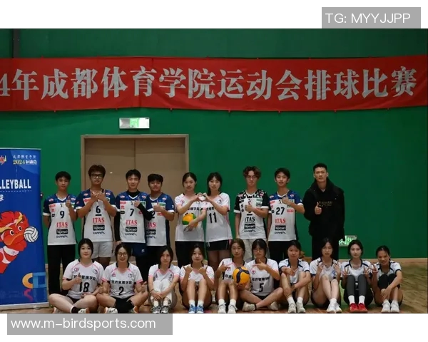 聚焦成都排球队的速度提升与战术运用探讨